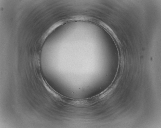 X0000081291433200701251642