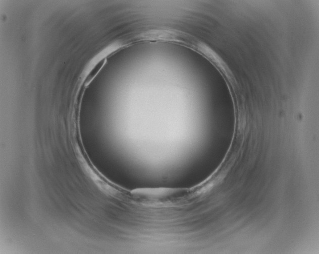 X0000081291434200701251642