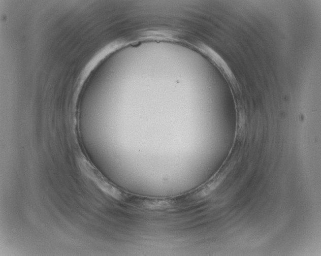 X0000081291435200701251642