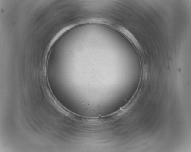 X0000081291436200701251642