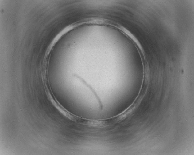 X0000081291437200701251642