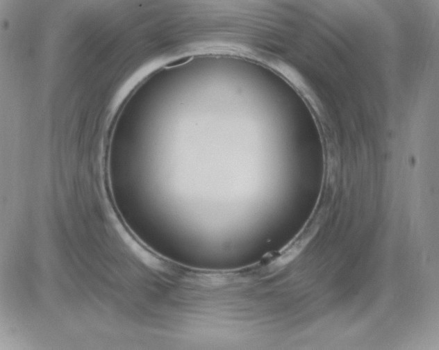 X0000081291438200701251642