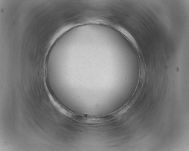 X0000081291439200701251642