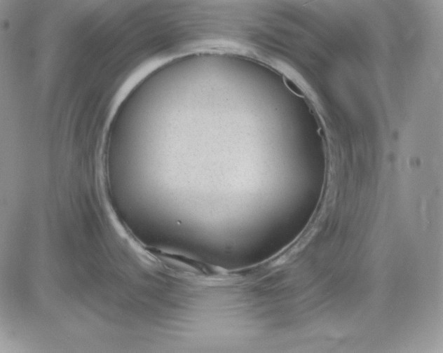 X0000081291440200701251642