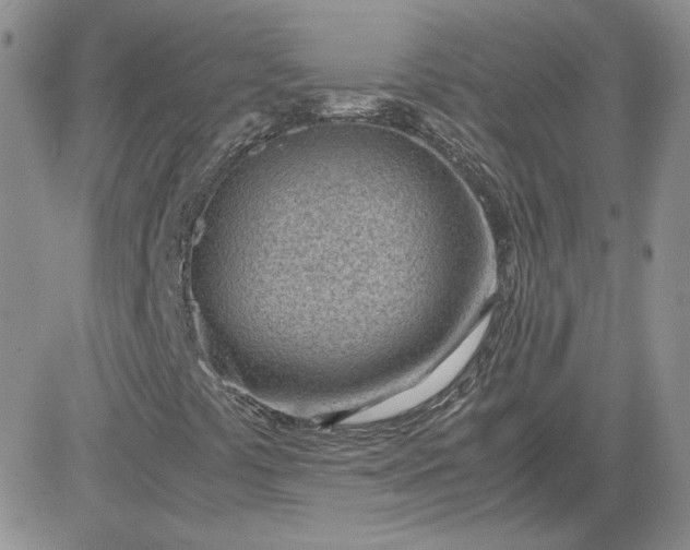 X0000081291441200701251641