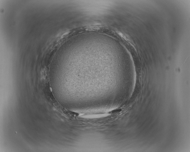 X0000081291445200701251641