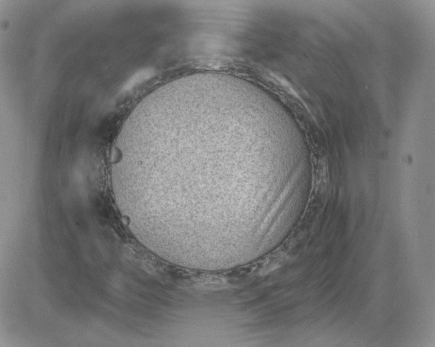 X0000081291446200701251641