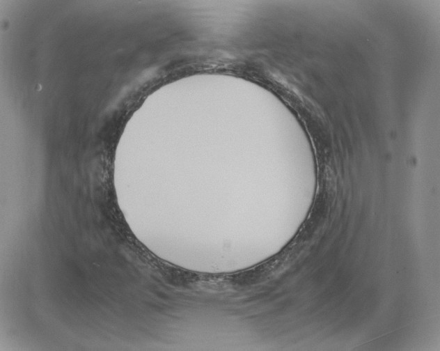 X0000081291447200701251641