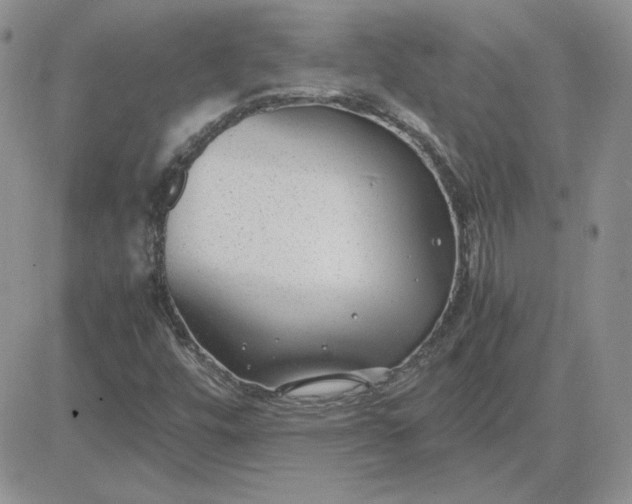 X0000081291448200701251641