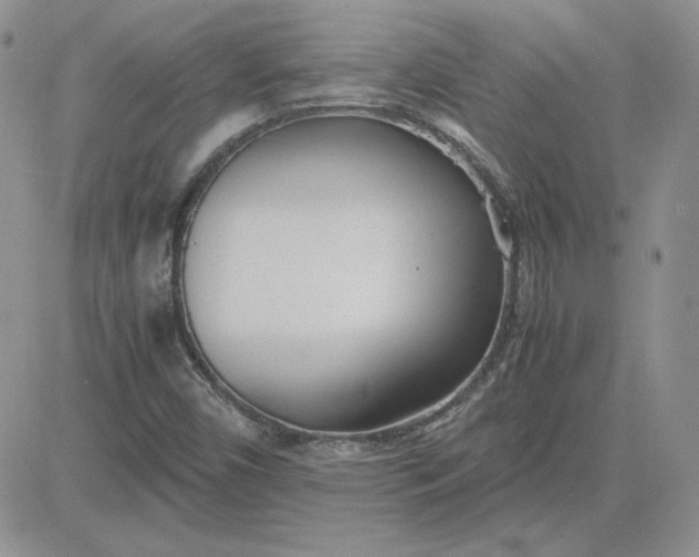 X0000081291450200701251641