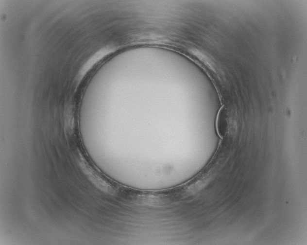 X0000081291458200701251641