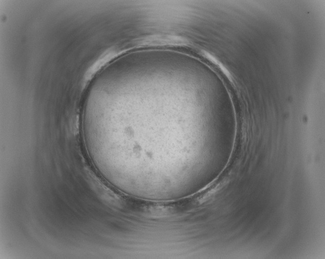 X0000081291459200701251641