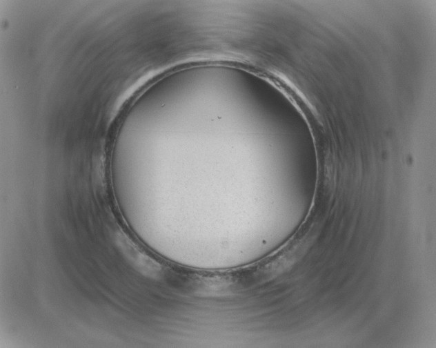 X0000081291460200701251641