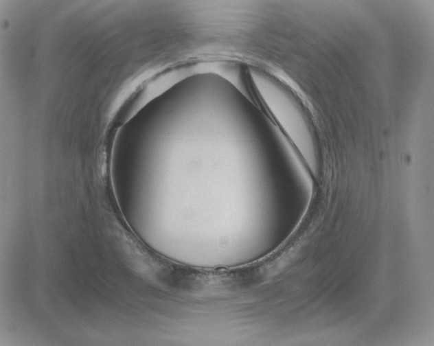 X0000081291461200701251641