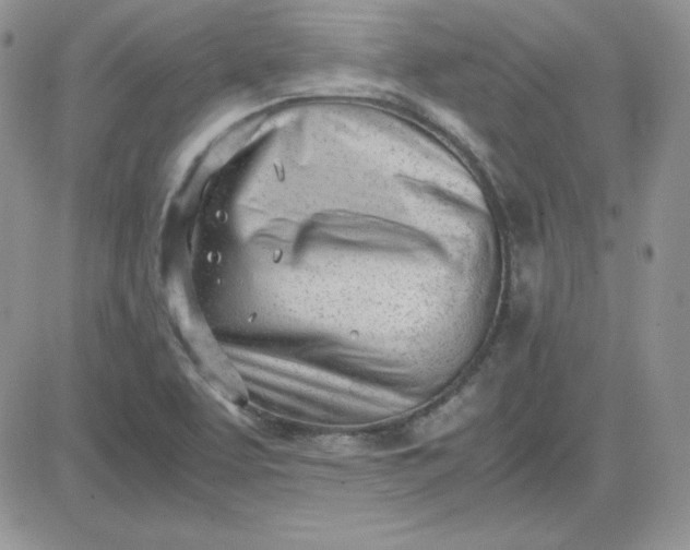 X0000081291463200701251641