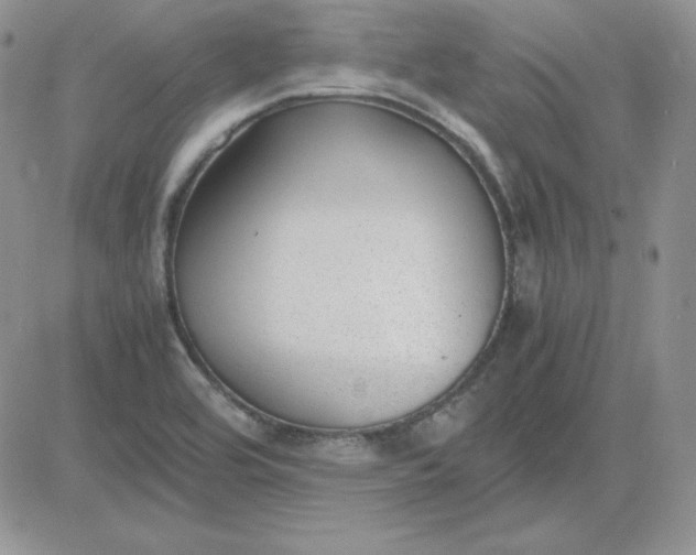 X0000081291464200701251641