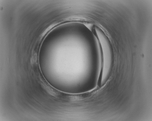 X0000081291465200701251641