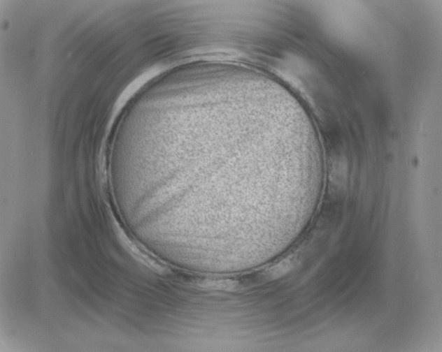 X0000081291466200701251641