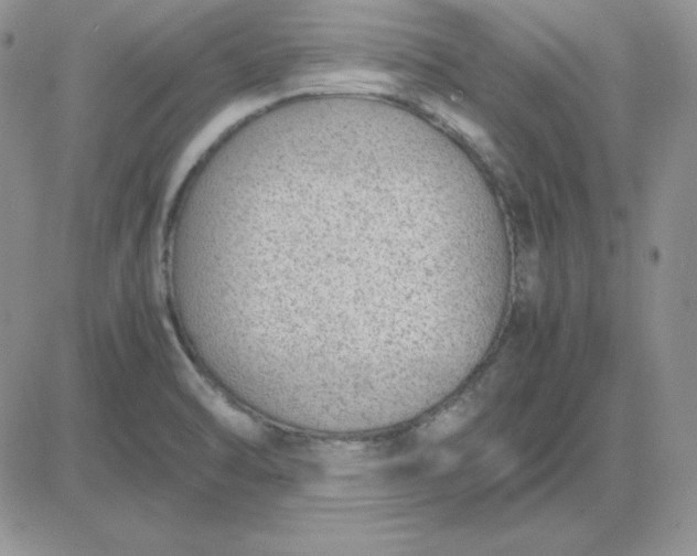 X0000081291470200701251640