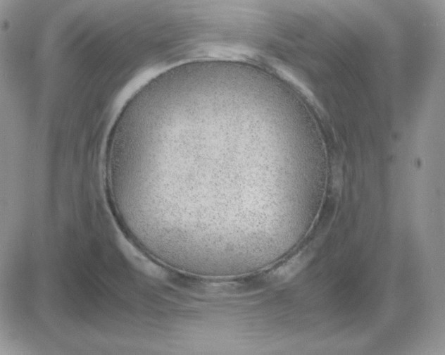 X0000081291471200701251640