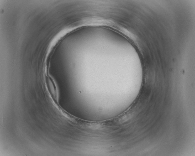 X0000081291472200701251640