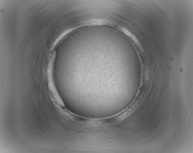 X0000081291473200701251640