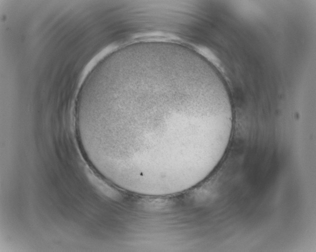 X0000081291474200701251640