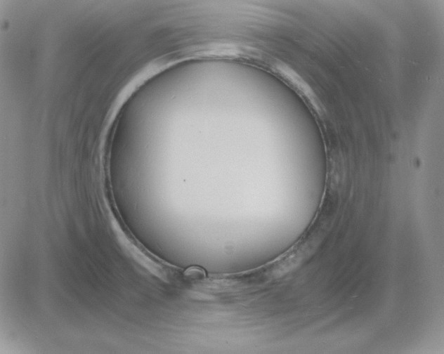 X0000081291475200701251640