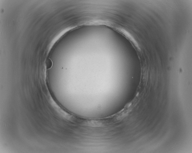 X0000081291476200701251640