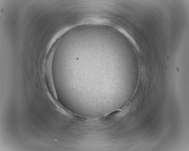 X0000081291477200701251640