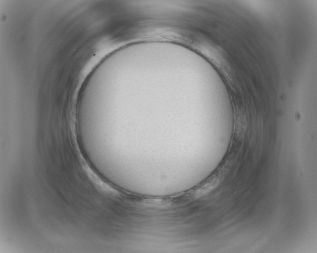 X0000081291478200701251640