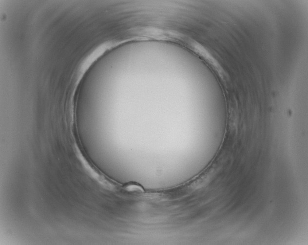 X0000081291479200701251640