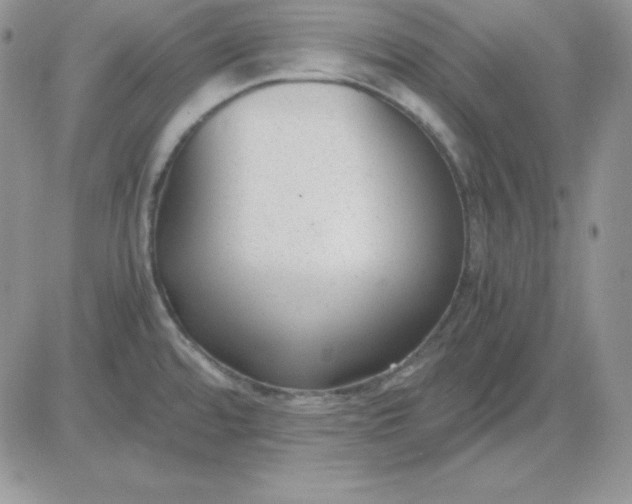 X0000081291480200701251640