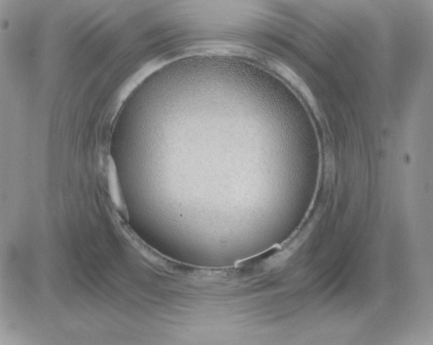 X0000081291481200701251640