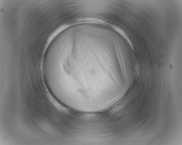 X0000081291482200701251640