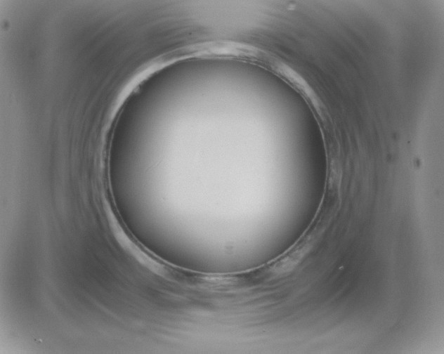 X0000081291483200701251640