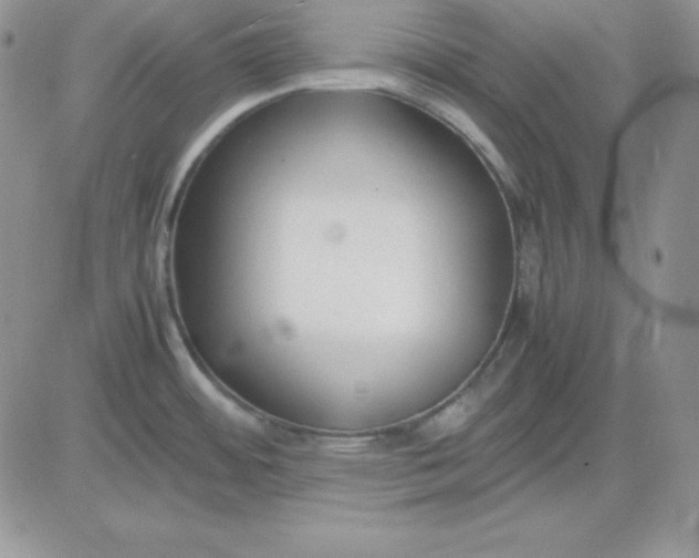 X0000081291484200701251640