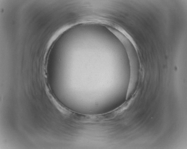 X0000081291485200701251640