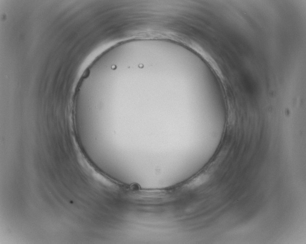 X0000081291486200701251640