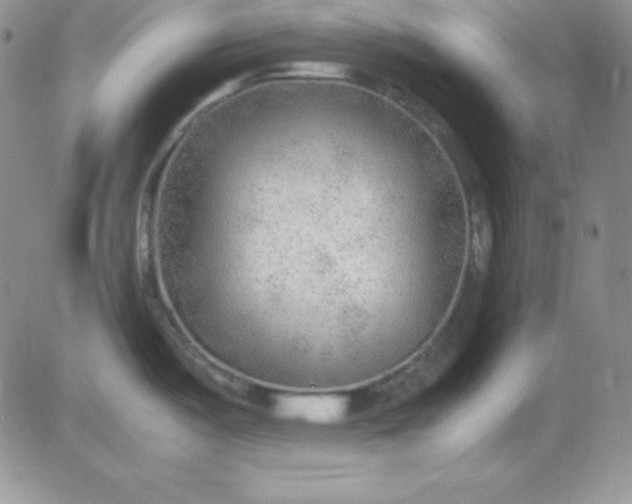 X0000081291487200701251640