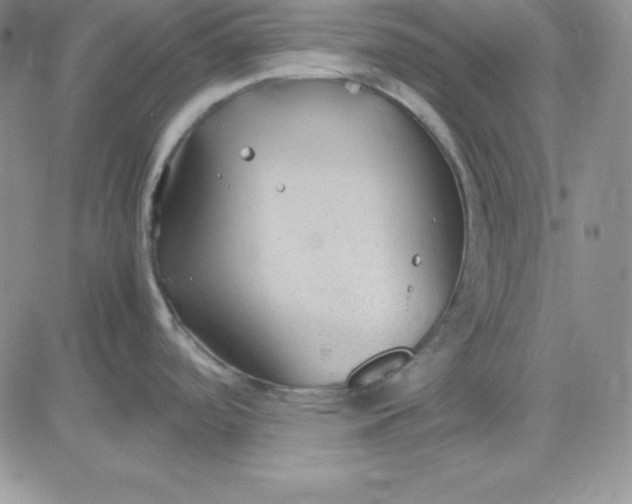 X0000081291488200701251640