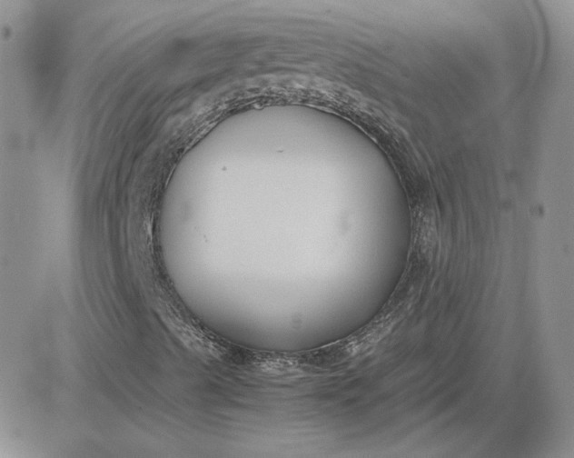 X0000081291489200701251639