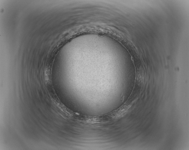 X0000081291490200701251639