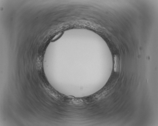 X0000081291491200701251639