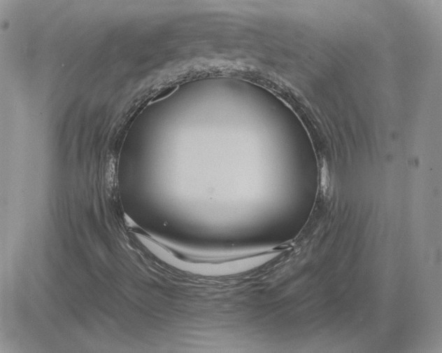 X0000081291492200701251639