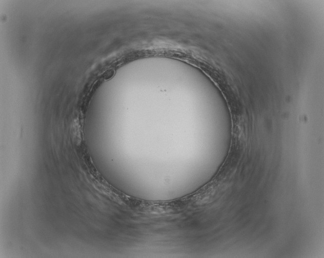 X0000081291493200701251639