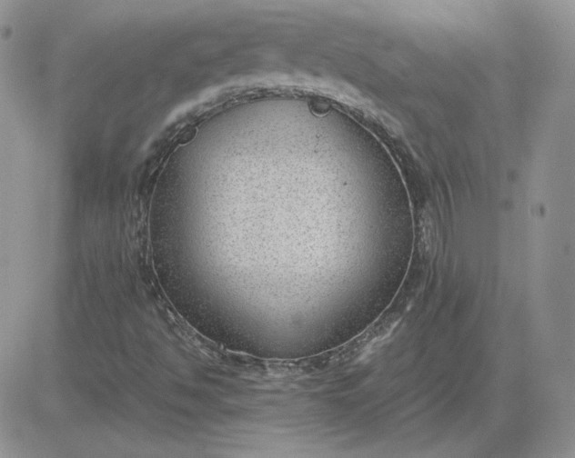 X0000081291494200701251640