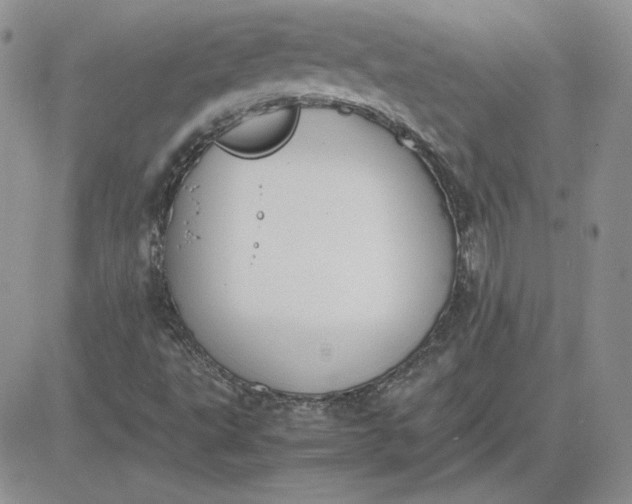 X0000081291495200701251640