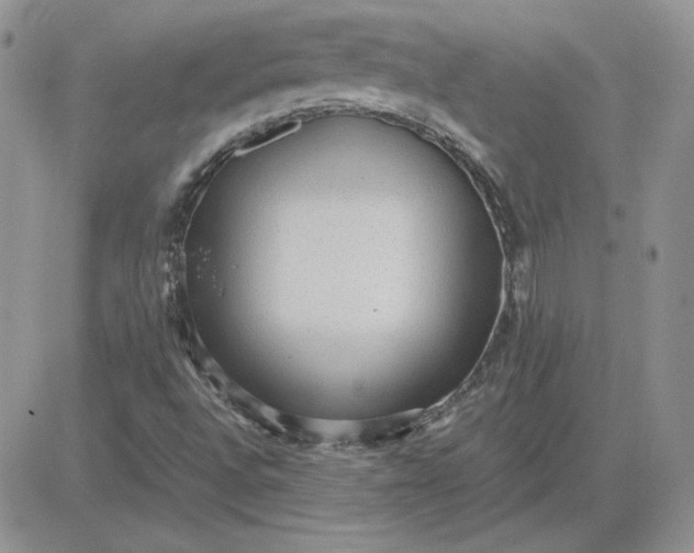 X0000081291496200701251640