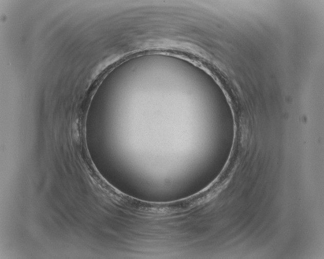 X0000081291497200701251640